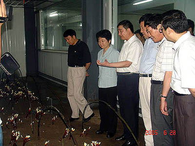 博亿国际