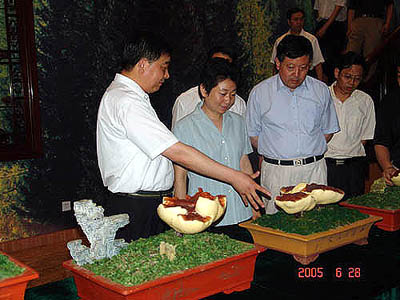 博亿国际